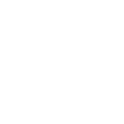 Logo Portal hand inverted